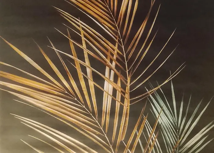 Apartment Graeff Luxury