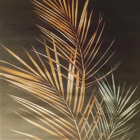 شقة Graeff Luxury